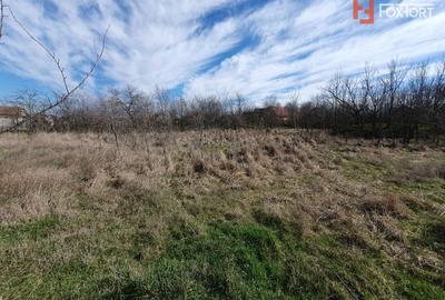 Teren Construcții intravilan de 2840 mp, în Jebel - 2