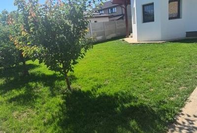 Casa individuala P+1+pod Comuna  Berceni-Str.1 Decembrie -teren 450mp - 3