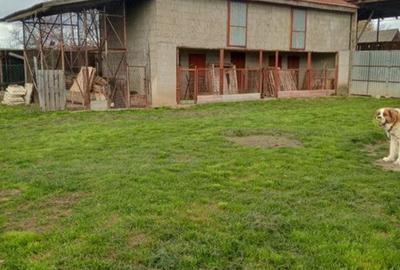 Casă cu 4 camere în Biharia - 8