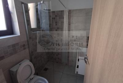 Casă 4 camere - 115 mp, cu teren 100 mp - Valea Adanca-850 Euro - 10