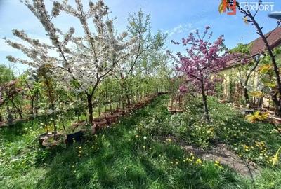 Casă cu 5 camere cu Teren 805 Mp în Giarmata