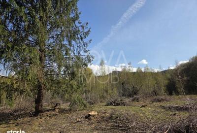 Spațiu comercial, în Viștișoara - 1