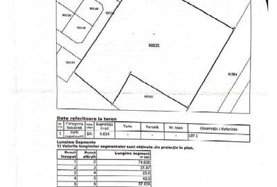 Spațiu comercial, în Radu Negru - 2