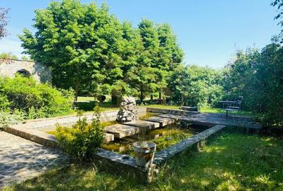 Casă cu 12 camere cu Garaj în Corbeanca - 5