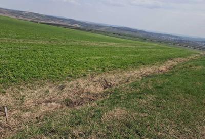 Spațiu comercial, în Copăceni - 8