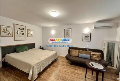 Inchiriere garsoniera IN VILA Piata Victoriei Titulescu CURTE PROPRIE Inchiriere garsoniera IN VILA Piata Victoriei Titulescu CURTE PROPRIE - 1