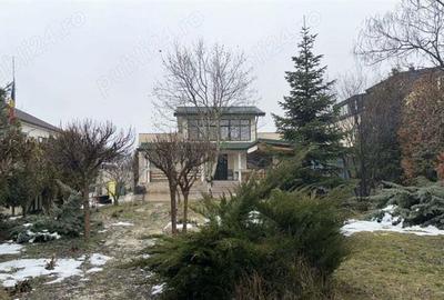 Vanzare vila Otopeni - 1