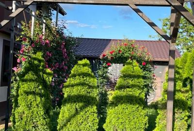 Casa, 5 camere, constructie 2022, teren 1000mp, Mehedinta, 275.000euro - 14