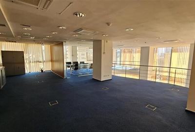 Luxoffice Center - duplex birouri 290 mp - 8