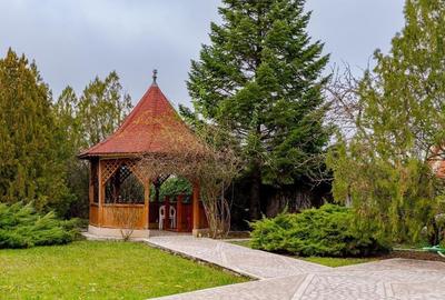 Vila familiei unite, piscina, cabana, Snagov - Ciofliceni - 14