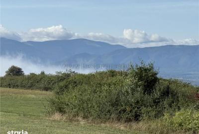 Teren de 5300 mp, în Șelimbăr - 2