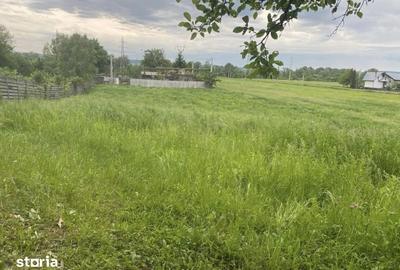 Teren de 10000 mp, în Budeasa - 1