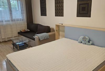 Garsonieră nedecomandată în Fundeni - 1