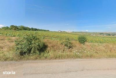 Teren de 1000 mp, în Iris - 2