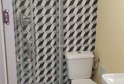 Apartament cu 2 camere semidecomandat în Drumul Carului - 2