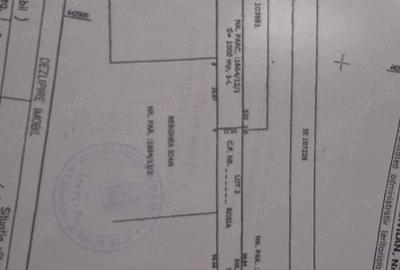 Teren de 1000 mp, în Daia