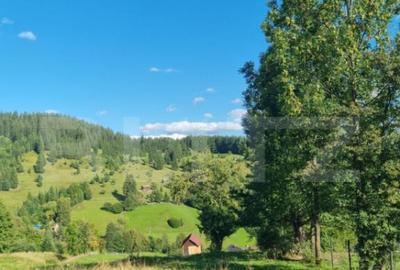 Teren de 2500 mp, în Central - 6