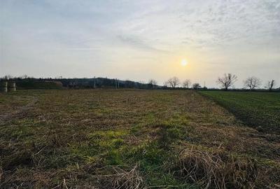 Teren de 7620 mp, în Diosig - 3