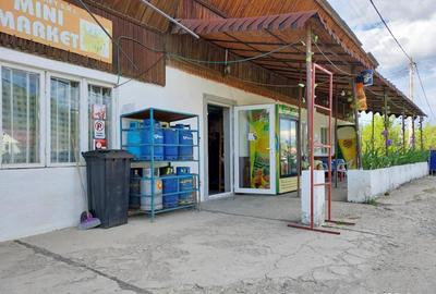 Casa, teren intravilan 3025 mp, sat Ciuperceni, pret excelent - 1