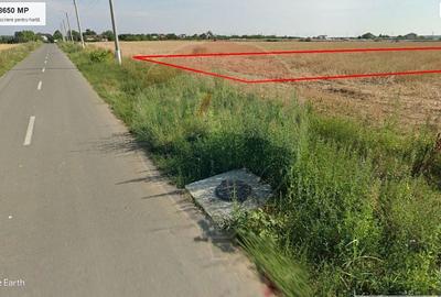 Teren intravilan 8.650 mp de vanzare Cernica acces rapid A2/A0 - 5