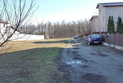 Clinceni str Ciocarliei,construibil,469mp,deschidere 21ml,utilitati,comision 0% - 5