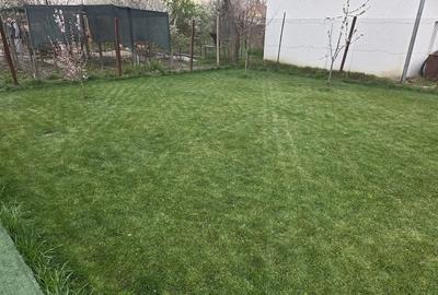 Casă cu 3 camere cu Teren 1171 Mp în Central - 1