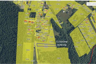Teren agricol extravilan de 3000 mp, în Beliș - 7