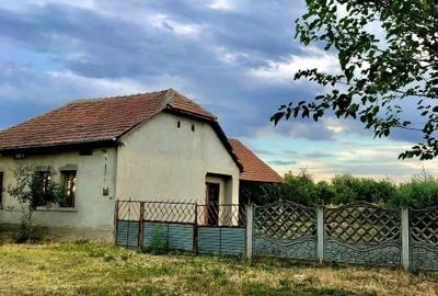 Casa de vinzare  in localitatea Ghilad - 5