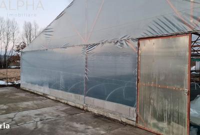 Spațiu comercial, de 1,300 mp, în Șintereag - 4