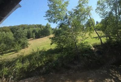 Cabana tradi?ionala - 8