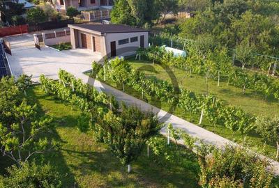 Casa cu piscina de vanzare | 3.300 mp teren | Urlati - Pr... - 11