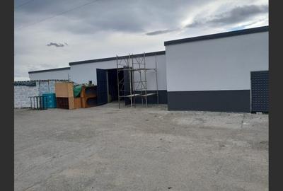 Spațiu industrial, de 8,120 mp, în Central - 12