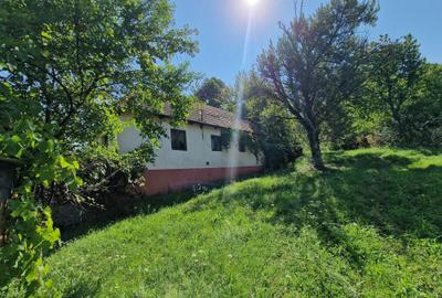 Casă cu 4 camere în Criștioru de Jos - 4