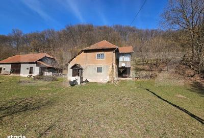 Spațiu comercial, în Almașu Mare - 9