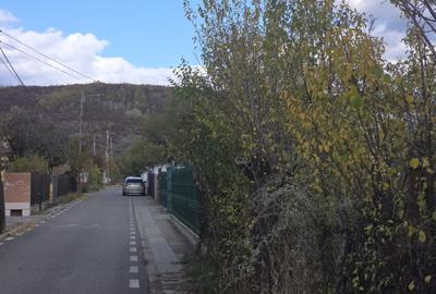 Casa vacanta zona colinara la 5 minute de municipiul Targoviste - 4