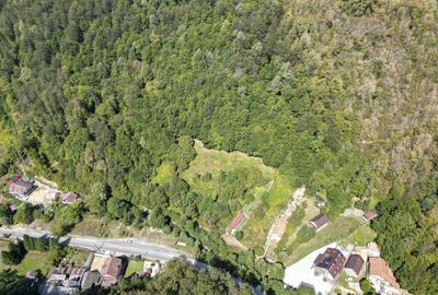 Teren intravilan de 1500 mp pe deal in Moneasa - 4