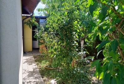 Vand casa parter Domnesti - 12