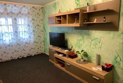 Casă cu 2 camere în Botiz - 6