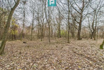Teren extravilan de 5000 mp, în Periam - 30