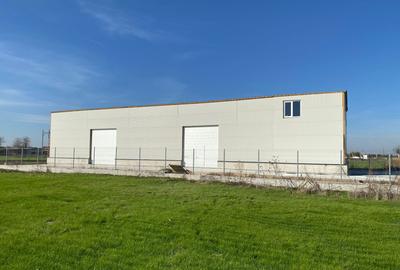 Hala de inchiriat|constructie noua - 2