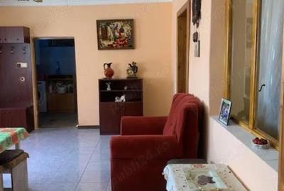 Casă cu 4 camere cu Teren 1436 Mp în Lugoj - 9