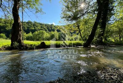 Teren Construcții extravilan de 1300 mp, în Groș - 4