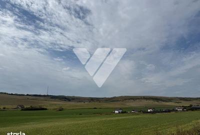 Spațiu comercial, în Șura Mare - 2