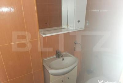 Apartament cu 3 camere semidecomandat în Cugir - 4