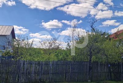 Teren Construcții intravilan de 1949 mp, în Băbana - 3