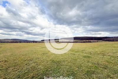 Teren intravilan in Tocile - 4354 m2 - 2 fronturi - oferta competitiva - 20