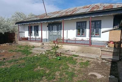 Casă cu Teren 600 Mp în Independența - 9