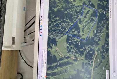 Teren de 16286 mp, în Runcu Mare - 4