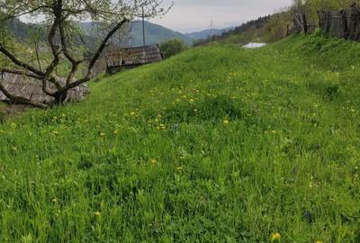 Spațiu comercial, în Potoci - 1