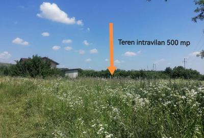 Teren de 500 mp, în Țintea